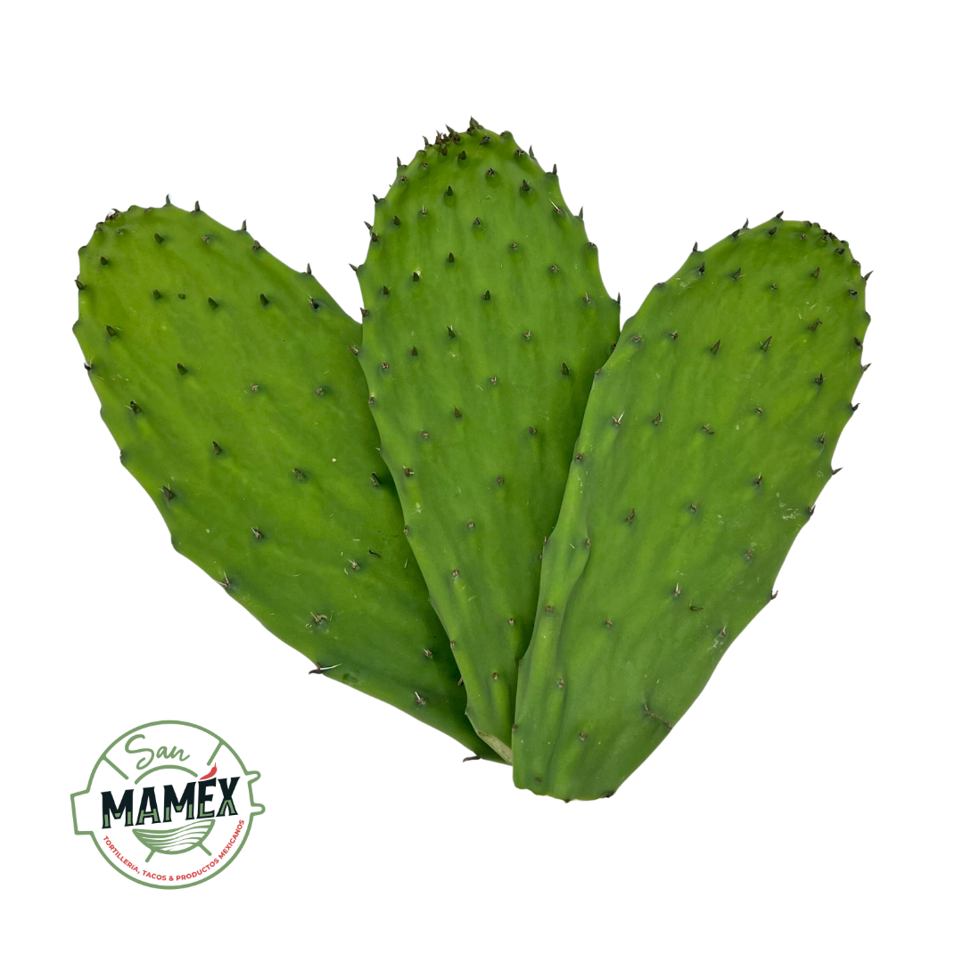 Nopal fresco ecológico con espina, 1 kg